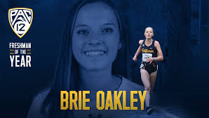 Stephanie Jenks (@Stephanie_Jenks)