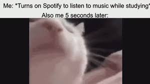 Fourteen Vibing Cat Memes For People Who Like To Get Down Cat Memes Cats Dumb Meme