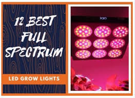 Swiftrans are offering their users with a 40% discount buying in a grow light from them. Die 12 Besten Vollspektrum Led Wachstumslampen 2021 Top Amazon Sellers