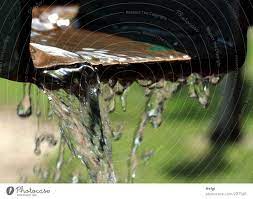 dripping wet - a Royalty Free Stock Photo from Photocase