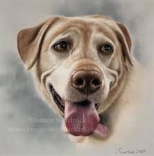 Joanne Swarbrick Art