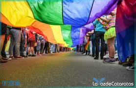 Porque un 17 de mayo de 1990, la organización mundial de la salud (oms) dejó de considerar a la homosexualidad como una enfermedad mental. Zkgaftd7evinpm