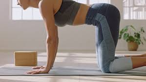 3 trying other spinal stretches. Healthy Yoga Woman Practicing Cat Stock Footage Video 100 Royalty Free 1020191506 Shutterstock
