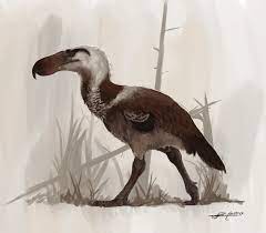 Maybe you would like to learn more about one of these? Kelenken Guillremoi The Largest Terror Bird Art By Jack Wood Dinosaurs