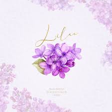 Lilac Watercolor Clipart Floral Elements Wedding Etsy Flower Sketches Watercolor Clipart Flower Drawing