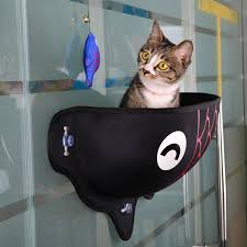 But they are also very fans of the moments of relax (especially the males). Fish Shape Warm Bed With Suction Cups For Pet Cat Sucker Hammock Window Mounted Bed For Car Cat Rest Pet Travel Products Cat Toys Aliexpress