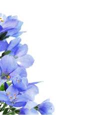 1000 blue flower border free vectors on ai, svg, eps or cdr. Blue Flower Border Vector Images Over 11 000