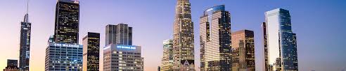 Private equity real estate funds delegated underwriting and servicing (dus) lenders. Commercial Real Estate Investment Company Overview