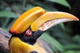 There are hundreds of locals immerse themselves in their own world with the fun once you enter the park, you will see there is a sign that indicates different sections of sunway lagoon. Wildlife Park Educational Programme Sunway Lagoon Theme Park