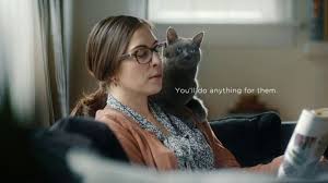 A Mother Spends Time Cuddling With Her Cat Instead Of Helping Her Daughter Who Fell Sheba Says You Ll Do Anything For Your Pet In 2020 Crazy Cat Lady Crazy Cats Pets