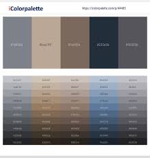 4 Latest Color Schemes with Raven And Ebony Clay Color tone combinations