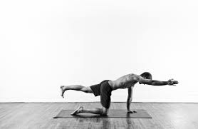 Sunbird Chakravakasana Yoga Upward Facing Dog Poses