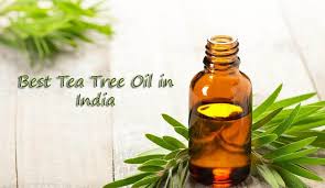 It is derived from tea tree plants grown in the bungawalbyn valley basin, australia. Top 10 Best Tea Tree Oil In India July 2021 Full Review Comparison