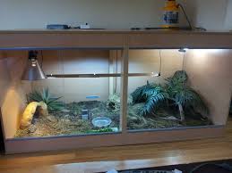 New Indoor Enclosure For My Little Leopard Tortoise Forum Tortoise Enclosure Tortoise Habitat Tortoise Enclosure Indoor