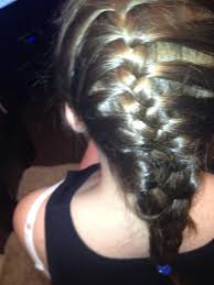 Have new images for 2 french braid hairstyles 35 two french braids hairstyles to double your style? French Braid Hairstyles 2 Inkcloth