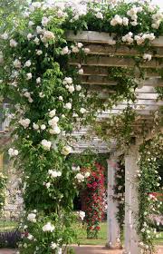 Garten Inspiration Fruhling Sommer Gartenarbeit Pflanzen Grun Natur Draussen Gemuse Bett Colonial Garden English Garden Design Garden Arches