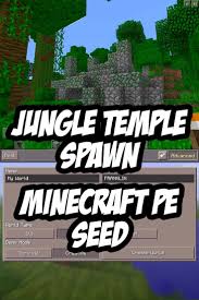 There are also cave s just about everywhere, snow, desert, and forest biome. World Type Minecraft
