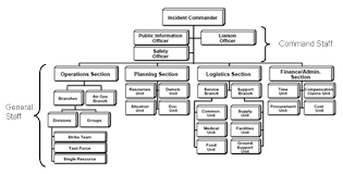 52 Timeless Eoc Org Chart