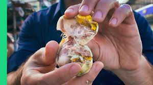 Yes, you read it right; Balut Health Benefits And Reason Why You Should Eat It Steemit
