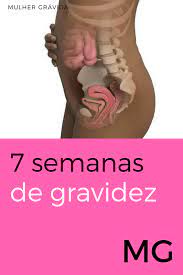 7 Semanas De Gravidez Gravidez 7 Semanas Gravidez Gravidez Saudavel