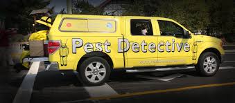 In north carolina, our main problem is with subterranean termites, i.e., termites that normally live below ground and may move up into a structure where they cause damage. Choosing Right Pest Control Company In Vancouver Pest Detective