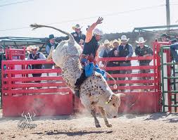 Mesalands Women's Rodeo Team wins Grand Canyon Regional Championship Title 