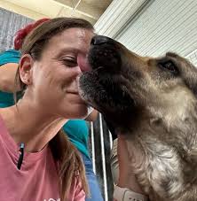 Santa Paula Animal Rescue Center