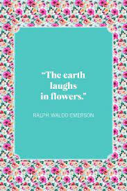 Flower quotes are the perfect way to share your love for the garden! 35 Inspirational Flower Quotes Best Quotes About Flowers
