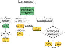 Image result for Ventricular Fibrillation Management in the Adult