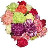 Also appears on statements as. Bulk Wholesale Flowers In Grand Rapids Sunnyslope Floral