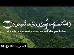 أ ف م ن ي خ ل ق ك م ن ل ا ي خ ل ق أ ف ل ا ت ذ ك ر ون Youtube