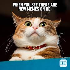 images?q=tbn:ANd9GcTu1iEg8Gs_fUYtQTn3TrL