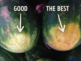Brown spots, webbing or scarring; How To Pick A Perfect Watermelon Tips From An Experienced Farmer