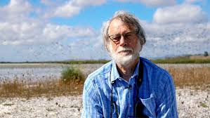 Shorebird Centre book takes flight