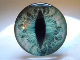 Glass Eyes Green Eyes Cat Eyes Animal Eyes Green Cat Eyes Etsy In 2020 Taxidermy Eyes Realistic Eye Eye Painting
