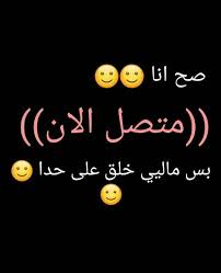 Image result for tbn:Ao0Usy--_pPGEM::www.mekshat.com/pix/upload/images49/mk42658_houssparrow.jpg