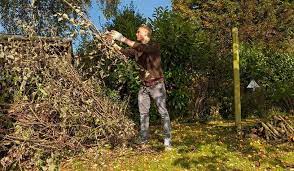 Lawn care is a rewarding job. How To Price Lawn Care Jobs
