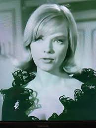 The Fugitive: The TV Series (1963-1967)