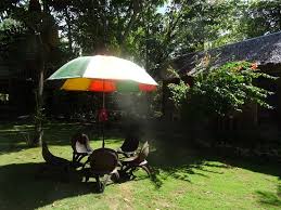 Choisissez un parasol droit classique, idéal pour intégrer à une table, un parasol déporté qui convient à tout type de mobilier. Charmant Ce Salon De Jardin Au Parasol Tres Colore Picture Of Bohol Lahoy Dive Resort Bohol Island Tripadvisor