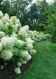 Landscaping Ideas For Front Yards Cheap Landscaping Ideas Beautiful Home Garden Designs Simplelandscapingi Beautiful Gardens White Gardens Hydrangea Garden