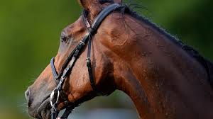 Bbbb enables them to take advantage of opportunities. Enable From Absolutely Useless To Groom For A Superstar Cnn