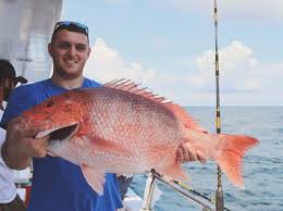 Bottom fishing for very large grouper off of port canaveral, florida to be more specific. Party Boat Fishing Photos Ocean Obsession Port Canaveral Ocean Obsession Fishing Charter