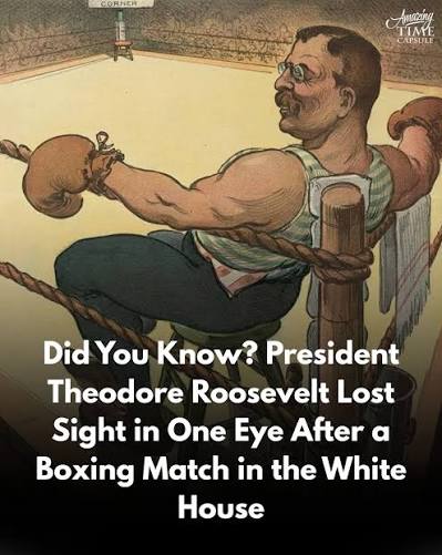 Theodore Roosevelt took up boxing after being bullied as a child and continued the sport—even while in the White House. During one match, a punch damaged the blood vessels in his left