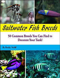 Saltwater Fish Breeds