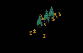 QAPP: Type N Experimental Buffer Treatment Study in Incompetent  Lithologies: Riparian Inputs, Water Quality, and Exports to Fish