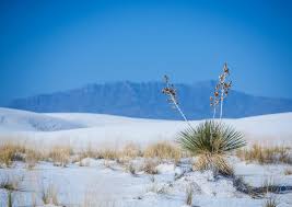 STATEMENT OF FINANCIAL CONDITION WE CELEBRATE THE LAND OF ENCHANTMENT