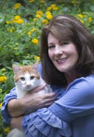 Death, Taxes, and Green Tea Ice Cream (Tara Holloway Series #6) by Diane  Kelly