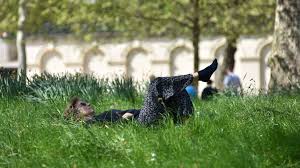 By removing carbon dioxide and returning oxygen, trees help maintain the balance between these gases in the atmosphere, replenishing the oxygen removed by organisms and removing the carbon dioxide released by. The Best Trees To Reduce Air Pollution Bbc Future