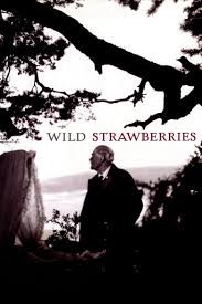 Wild strawberries feels like a swan song, somehow sung 60 years before his death. Wild Strawberries Film Alchetron The Free Social Encyclopedia
