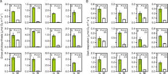 What are the five adaptations that plants need to survive on land? Effects Of Chloroplast Dysfunction On Mitochondria White Sectors In Variegated Leaves Have Higher Mitochondrial Dna Levels And Lower Dark Respiration Rates Than Green Sectors Springerlink